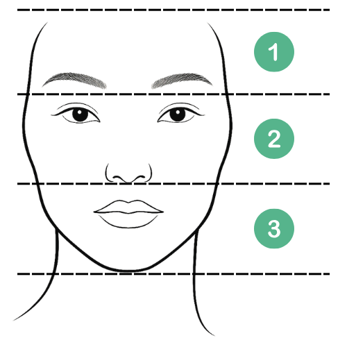 Face zone diagram